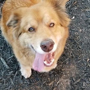 Meet your Posher, Evan